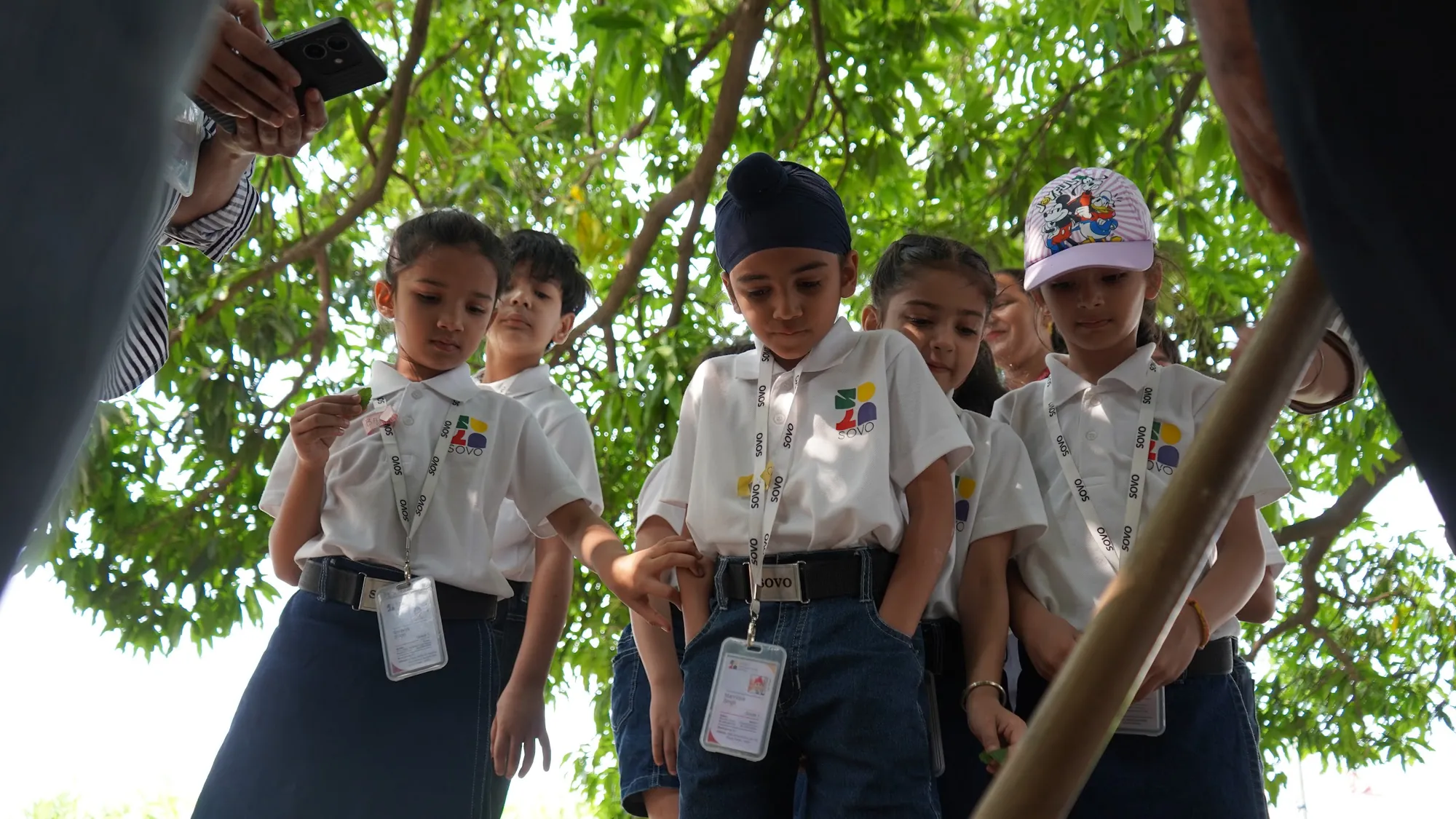 Students looking up at a large tree on a farm visit